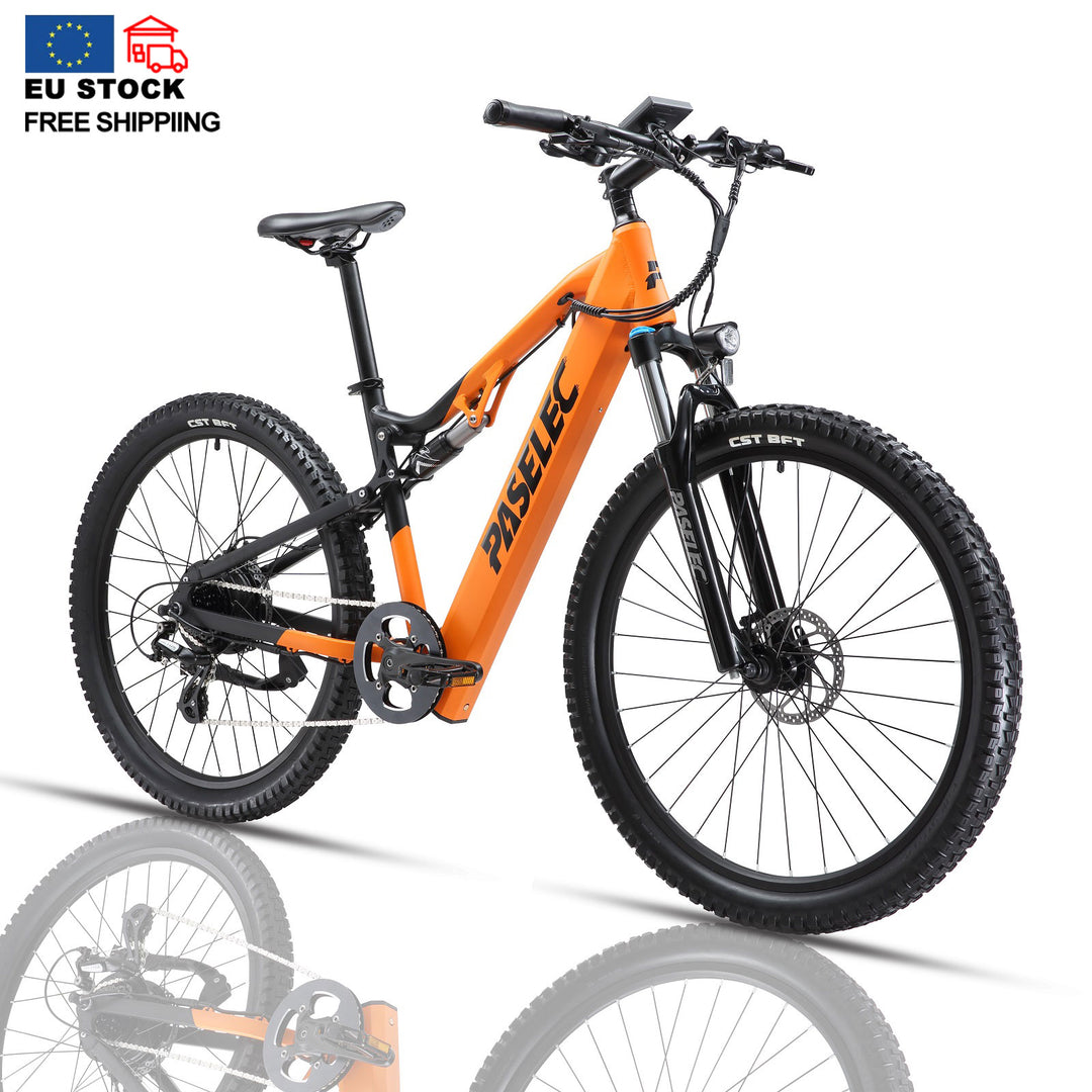 HedaTX GS9 Brushless Motor Fashionable Electric Bicycle