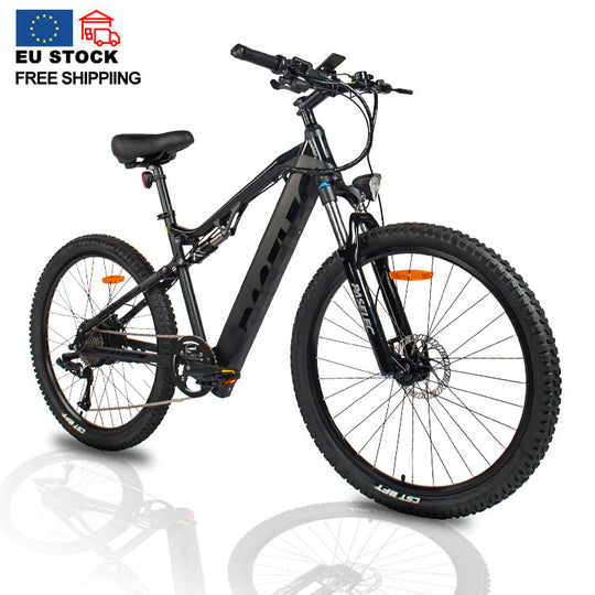 HedaTX GS9 Brushless Motor Fashionable Electric Bicycle