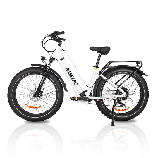 HedaTX TX8 Fat tire high-power off-road electric mountain bike