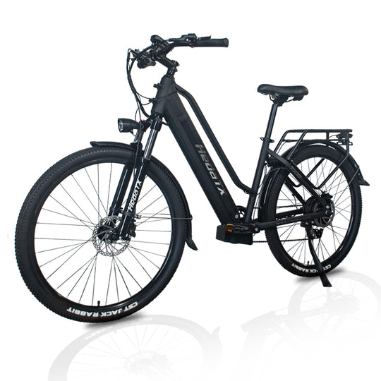 HedaTX TX10 9-speed 500w 48v 15.6Ah 27.5'' city ebike