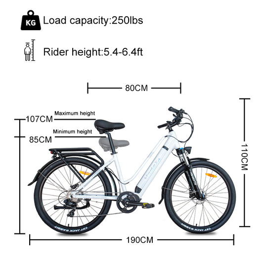 HedaTX TX520 250W Mid-mounted motor city commuter electric bike