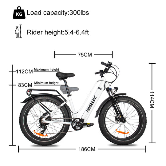 HedaTX TX8 Fat tire high-power off-road electric mountain bike