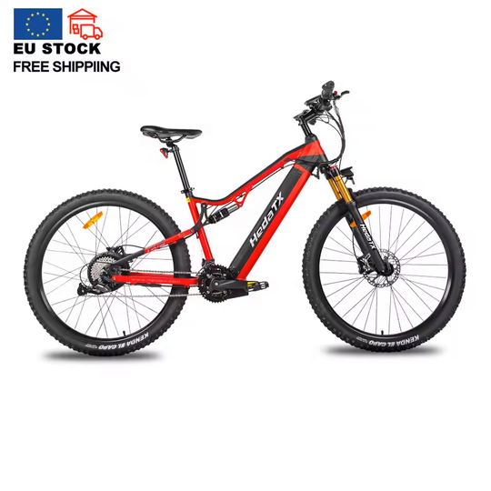 HedaTX TX19 Strong power fashion Chinese mountain electric bicycle